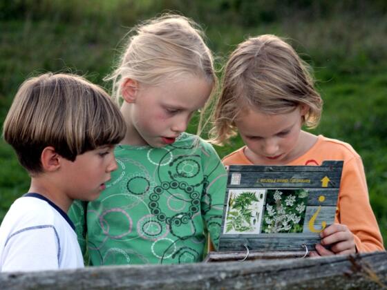 Naturlehrpfad im Freilichtmuseum Massing
