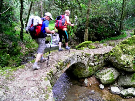Pilgern - gemeinsam über Stock und Stein
