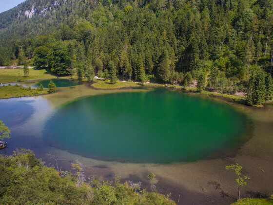 Falkensee Inzell - smaragd grün
