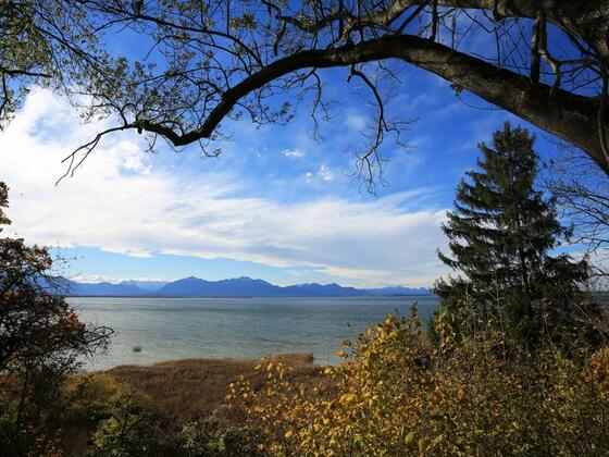 Chiemseenblick bei Chieming