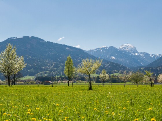 Blick auf Bad Feilnbach mit Wendelstein