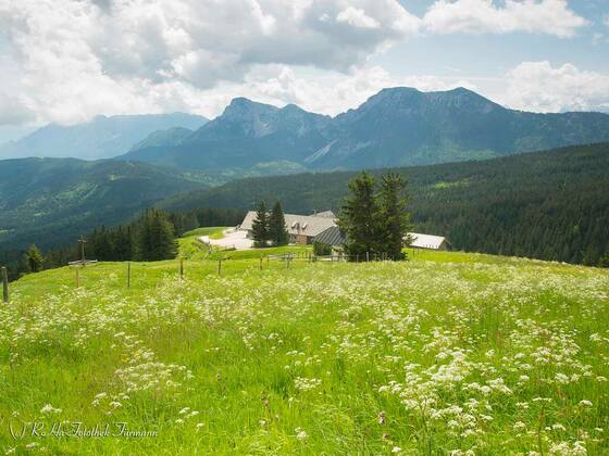 Wanderung Stoißeralm