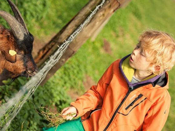 Los geht&#039;s - Radrundtour Bauernhofsafari