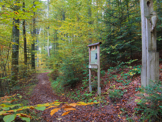 Waldlehrpfad & Skulpturenweg Teisendorf © RoHa Fotothek