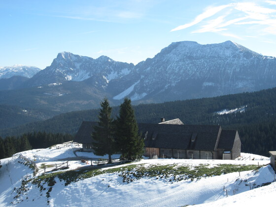 Stoißer Alm mit Staufen und Zwiesel im Hintergrund
