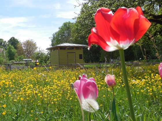 Obst- und Bienenlehrpfad Chieming