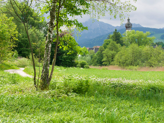 Höglwörther Weg © RoHa Fotothek