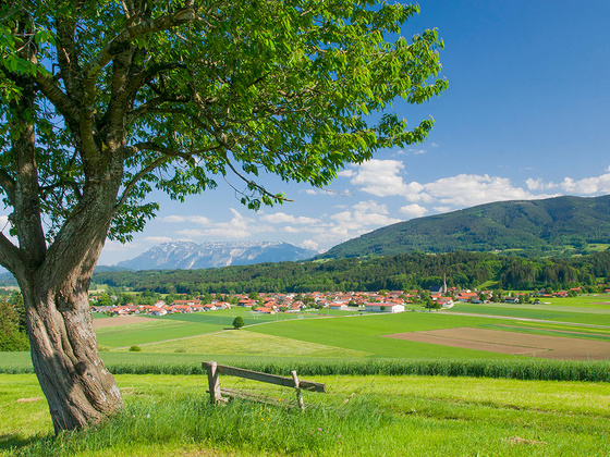 Panorama Weg Teisendorf © RoHa Fotothek