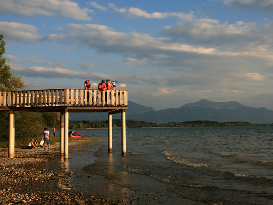 Naturbeobachtungsplattform