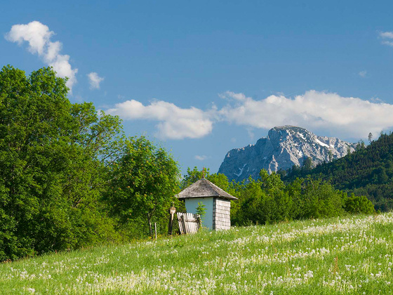 Salzburgblick Weg Teisendorf © RoHa Fotothek