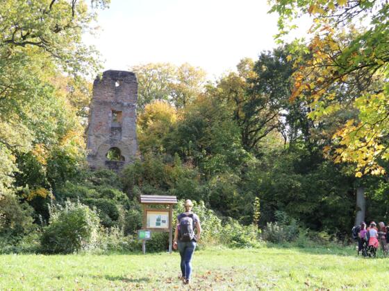 Die Ruine Speckfeld - ein beliebter Platz für eine Rast