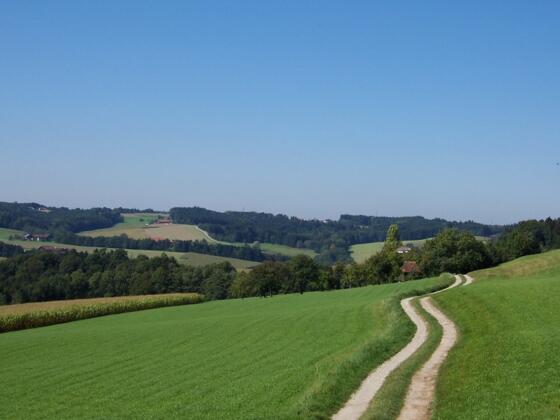 Ausblick bei Maisenberg