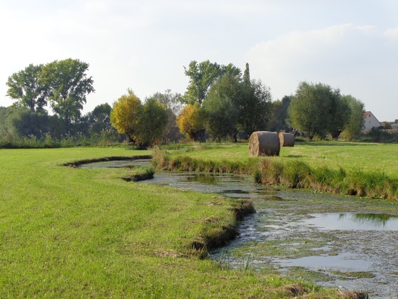 Tränksee bei Castell