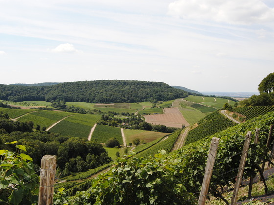 Schönste Weinsicht Deutschlands 2012