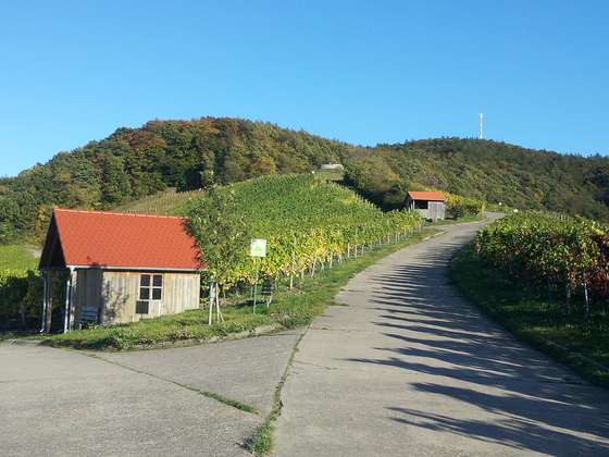 Hütten am Frankenblick