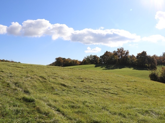 Schlossbergsattel in der Sonne