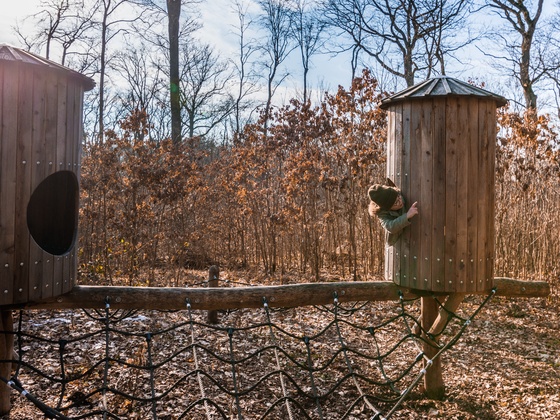 Erlebnisstation Spechthöhle