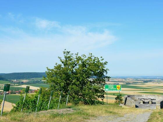 Weinlehrpfad Abtswind