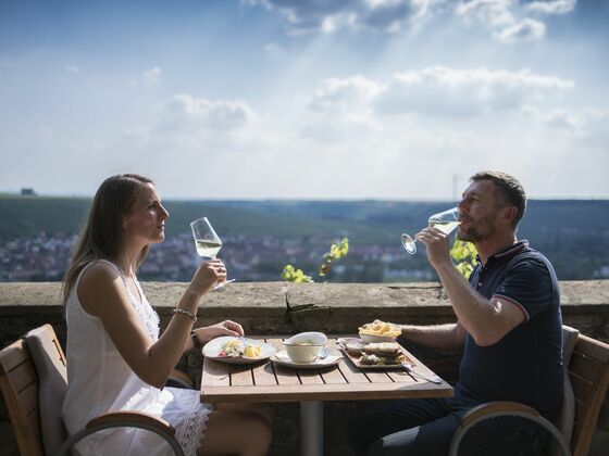 Ausblick von der Vogelsburg