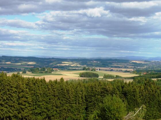 Ausblick bei Holzhäuser