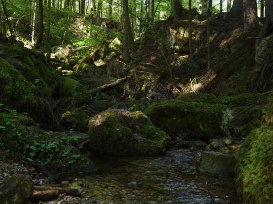 Ameringgaben und Felsenlabyrinth