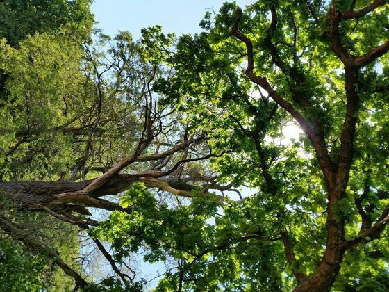 Am Naturschutzgebiet Schwedengraben