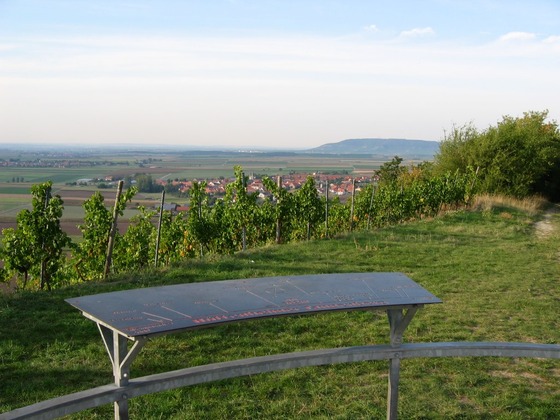 Richtungsspinne auf dem Tannenberg