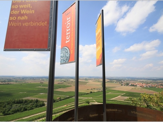 Terroir f von Iphofen