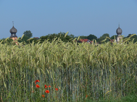 Blick auf die Kirchtürme von Neuses am Berg