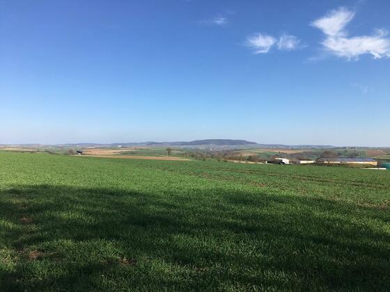 Ausblick ins Weinparadies