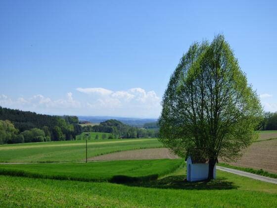 Blick auf die Kapelle in Viehhausen