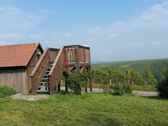 Aussichtsplattform Glatzenberg