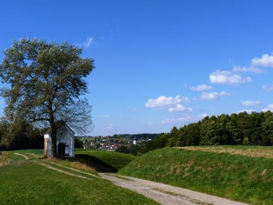 Ausblick bei Berghäuser auf Tann