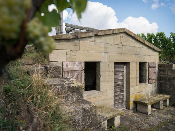 Weinbergshäusle bei Castell