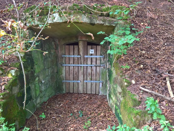 Keller in der Hohlgasse