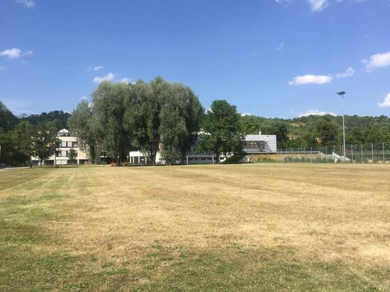 University Cafeteria