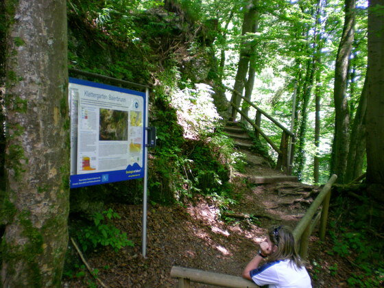 Infotafel am Klettergarten