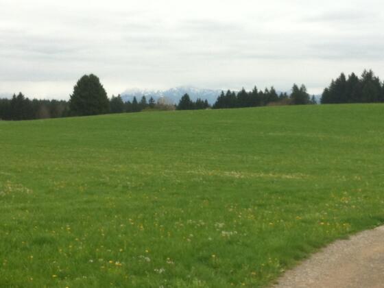 Alpenpanorama bei Buchen