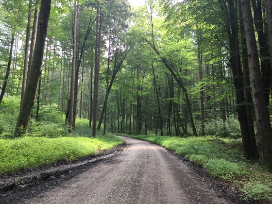 Steigung nach Wolfsberg