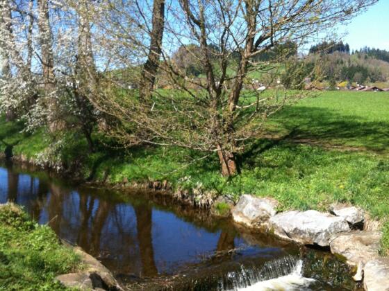 Die Peitnach in Peiting