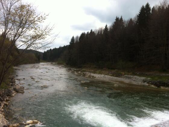 Die Ammer am Schnalzwehr