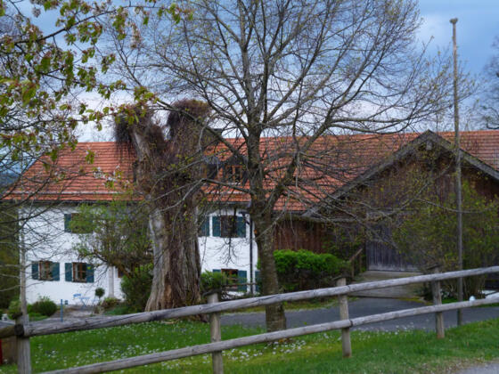 Das Anwesen Weinbauer oberhalb von Peißenberg.