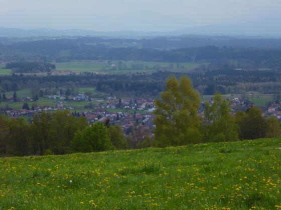 Schöner Blick auf Peißenberg vom Waldrand oberhalb des Weinbauers - dahinter sind die schwachen Umrisse der Alpenkette zu erkennen.
