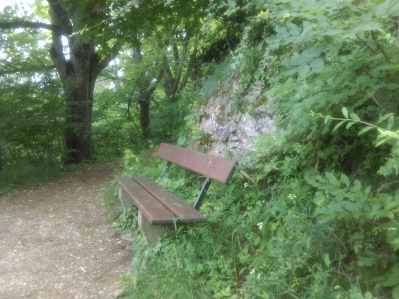 Bench in Naturpark Altmühltal
