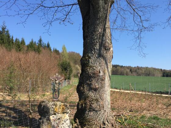Feldkreuz bei Ziegelhof