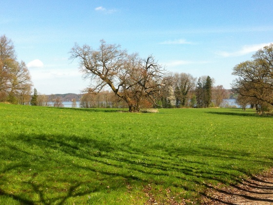 Bernrieder Parklandschaft