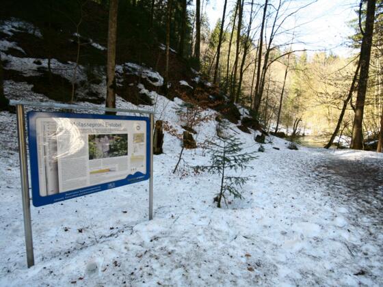 Infotafel zum Molasseprofil