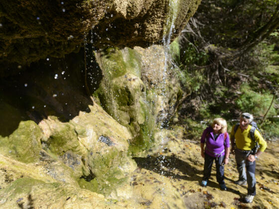 Die einzigartigen Kalk-Sinterterrassen an den Hängen zwischen Ammerschlucht und Kalkofensteg.