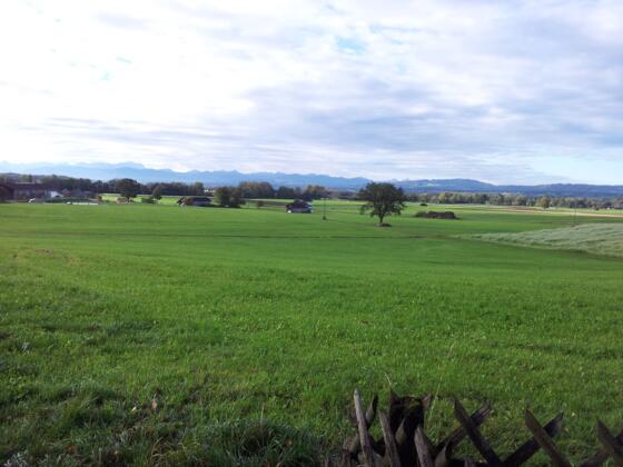 Aussicht südlich von Pähl