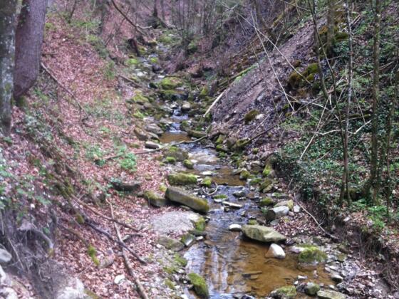 Wildromantische Klamm des Reitnerbaches